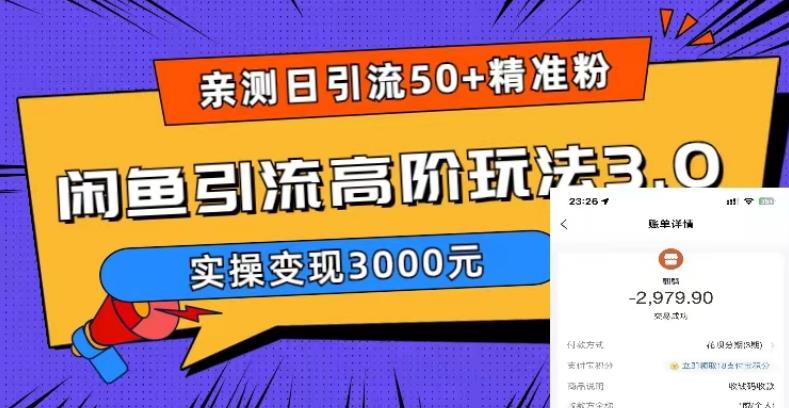 【副业项目5795期】实测日引50+精准粉，闲鱼引流高阶玩法3.0，实操变现3000元缩略图