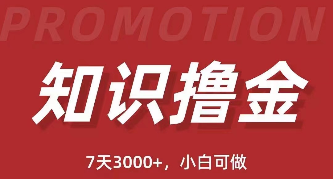 【副业项目5702期】抖音知识撸金项目：简单粗暴日入1000+执行力强当天见收益(教程+资料)缩略图