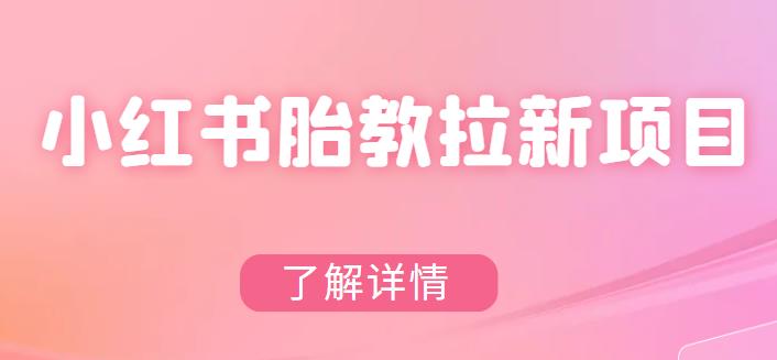 【副业项目6099期】小红书胎教网盘拉新项目，可在私域变现两次（作品制作教程+素材）缩略图