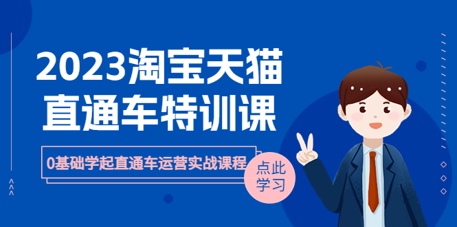 【副业项目6489期】2023淘宝·天猫直通车评特训课，0基础学起直通车运营实战课程（8节课时）缩略图