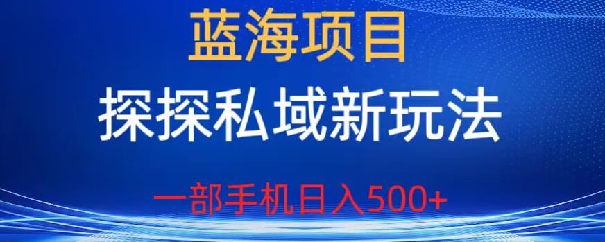 【副业项目6894期】蓝海项目，探探私域新玩法，一部手机日入500+很轻松【揭秘】缩略图