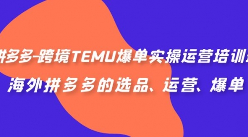 【副业项目7128期】拼多多-跨境TEMU爆单实操运营培训班，海外拼多多的选品、运营、爆单缩略图