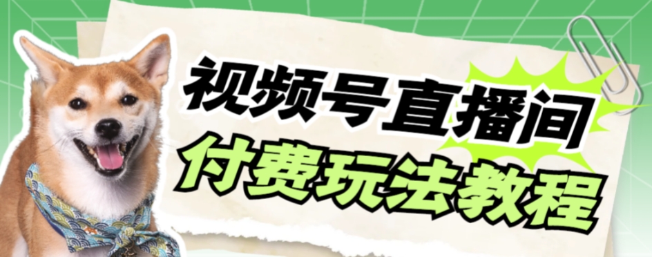 【副业项目7973期】视频号美女付费无人直播，轻松日入500+缩略图