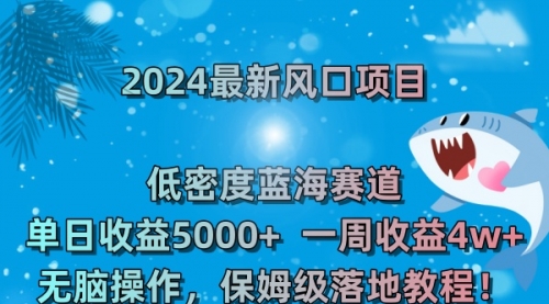 【副业8681期】2024最新风口项目 低密度蓝海赛道，日收益5000+周收益4w+ 无脑操作缩略图