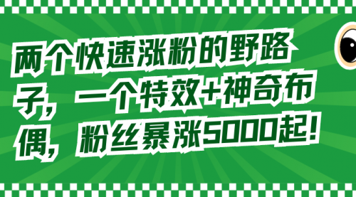 【副业8723期】两个快速涨粉的野路子，一个特效+神奇布偶，粉丝暴涨5000起！缩略图