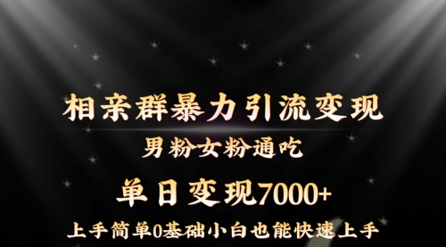 【副业8845期】相亲群暴力引流男粉女粉通吃变现玩法，单日变现7000+保姆教学1.0缩略图